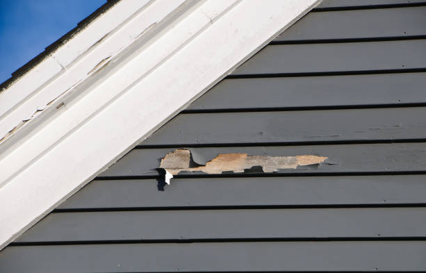 Best Same-Day Junk Removal Services  in Potomac Park, CA
